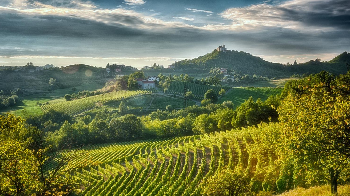 A weekend in Piedmont: in Gavi between wineries and restaurants, art and nature
