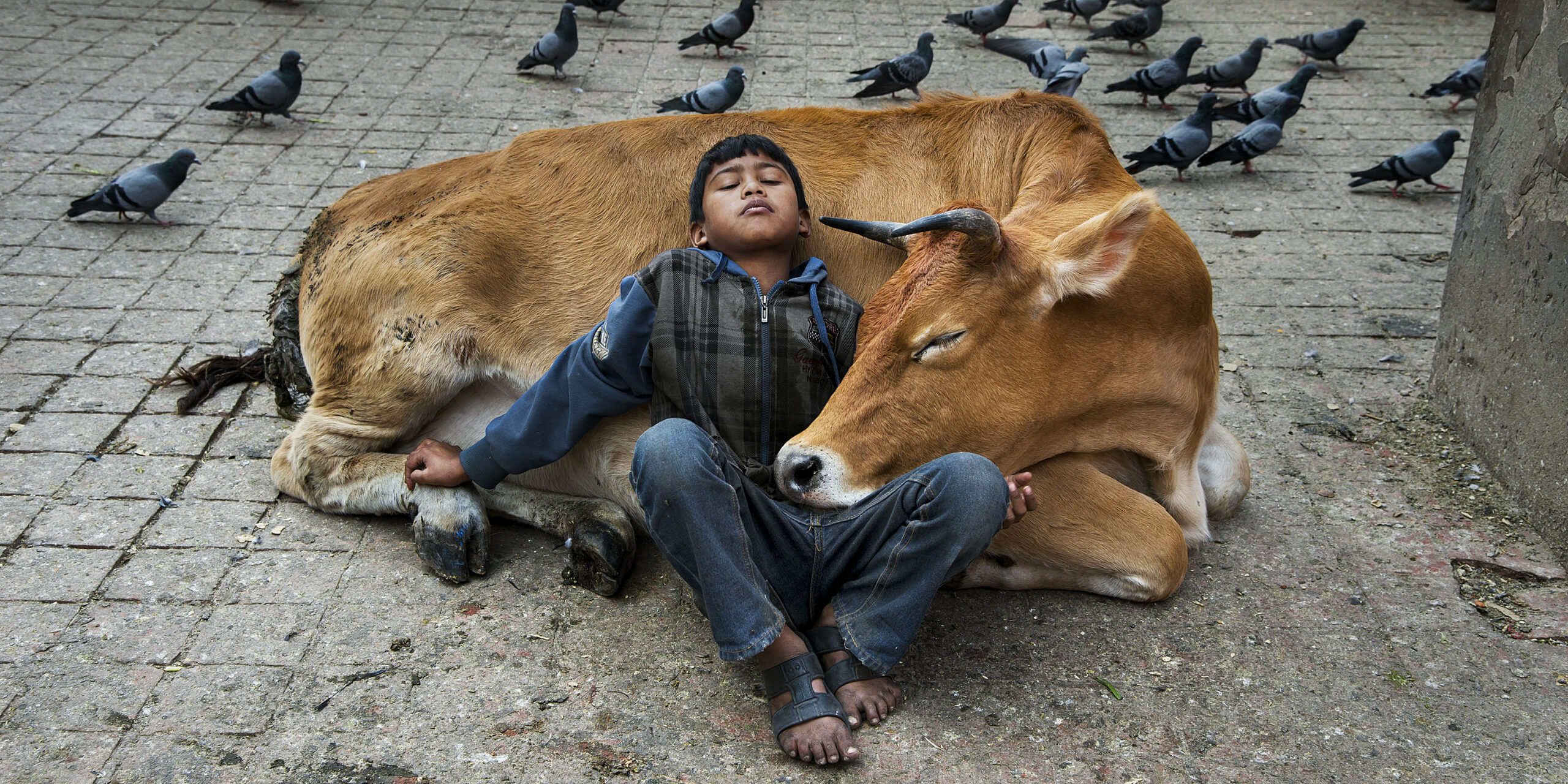 Steve McCurry. Icons: in mostra l’Henri Cartier-Bresson contemporaneo